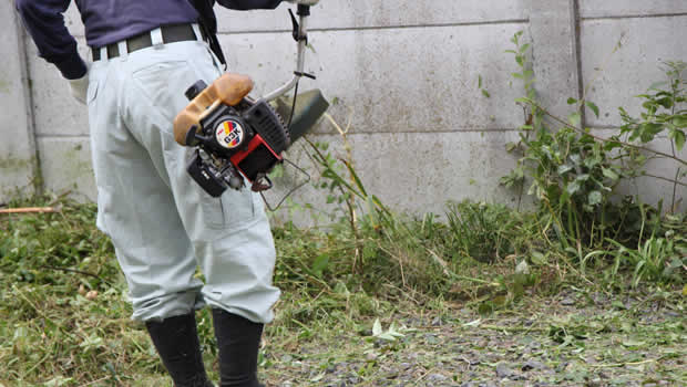 山梨片付け110番の草刈りサービス
